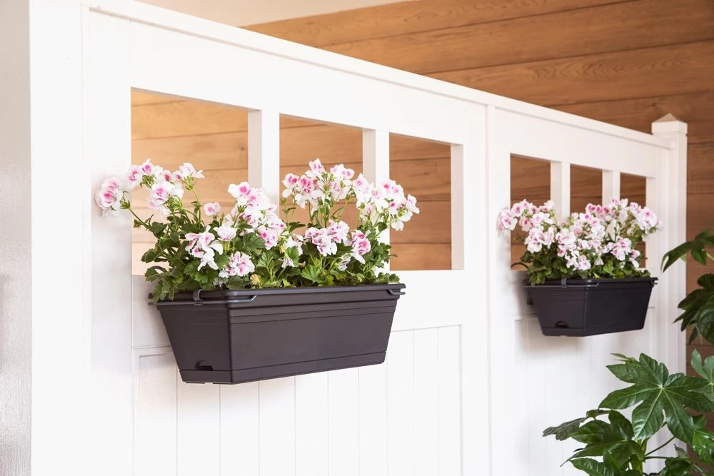 Balkonbak Chill Trough Set Intense Black - 50 X 19,5 X 20 Cm - Afbeelding 2