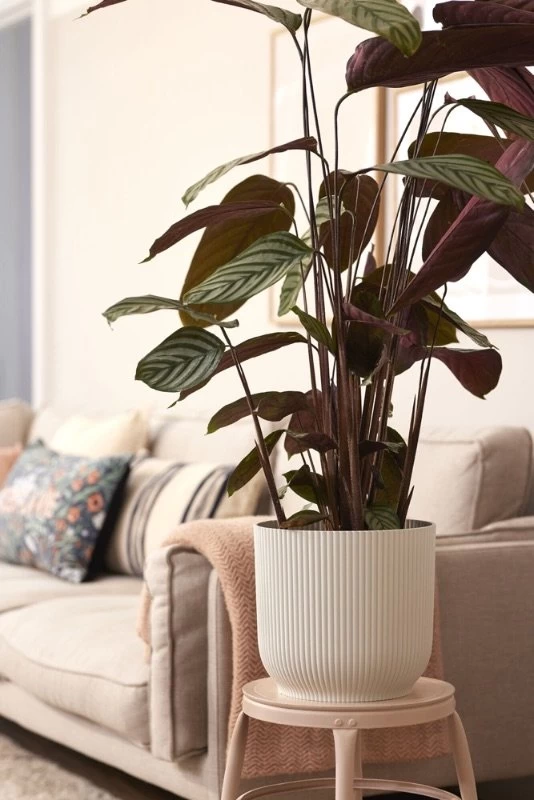 Elho Bloempot Vibes Fold Rond Wielen 35cm Wit - Afbeelding 4