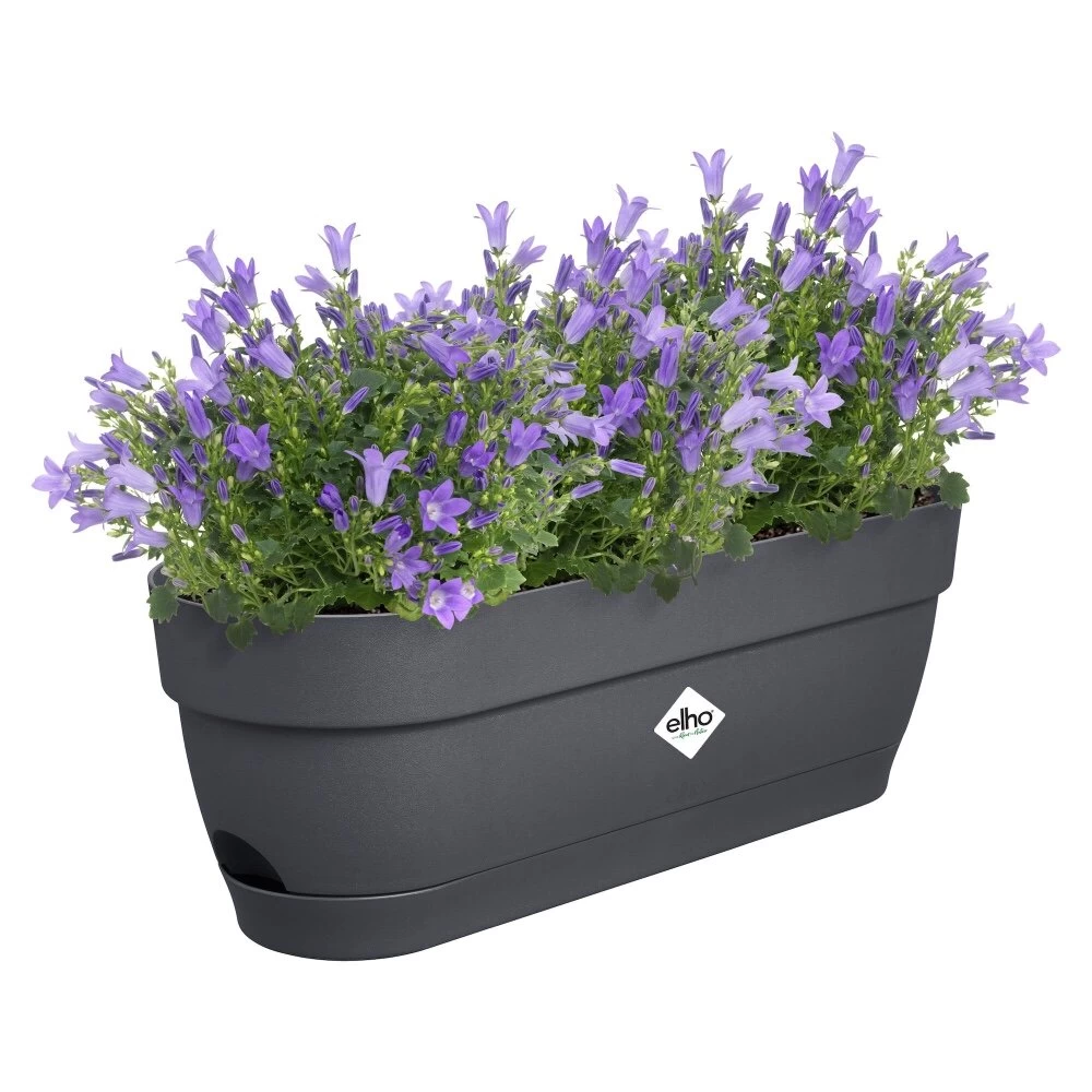 Elho Vibia Campana Balkonbak 50 Cm Zwart - Afbeelding 2