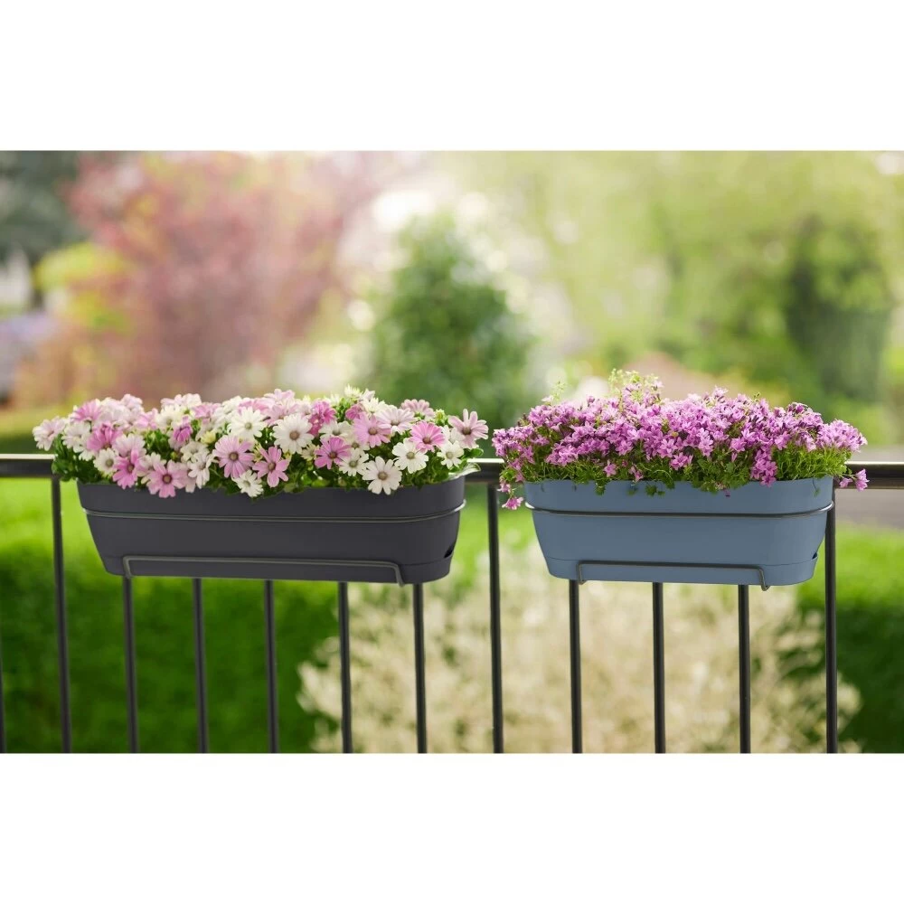 Elho Vibia Campana Balkonbak 50 Cm Zwart - Afbeelding 6