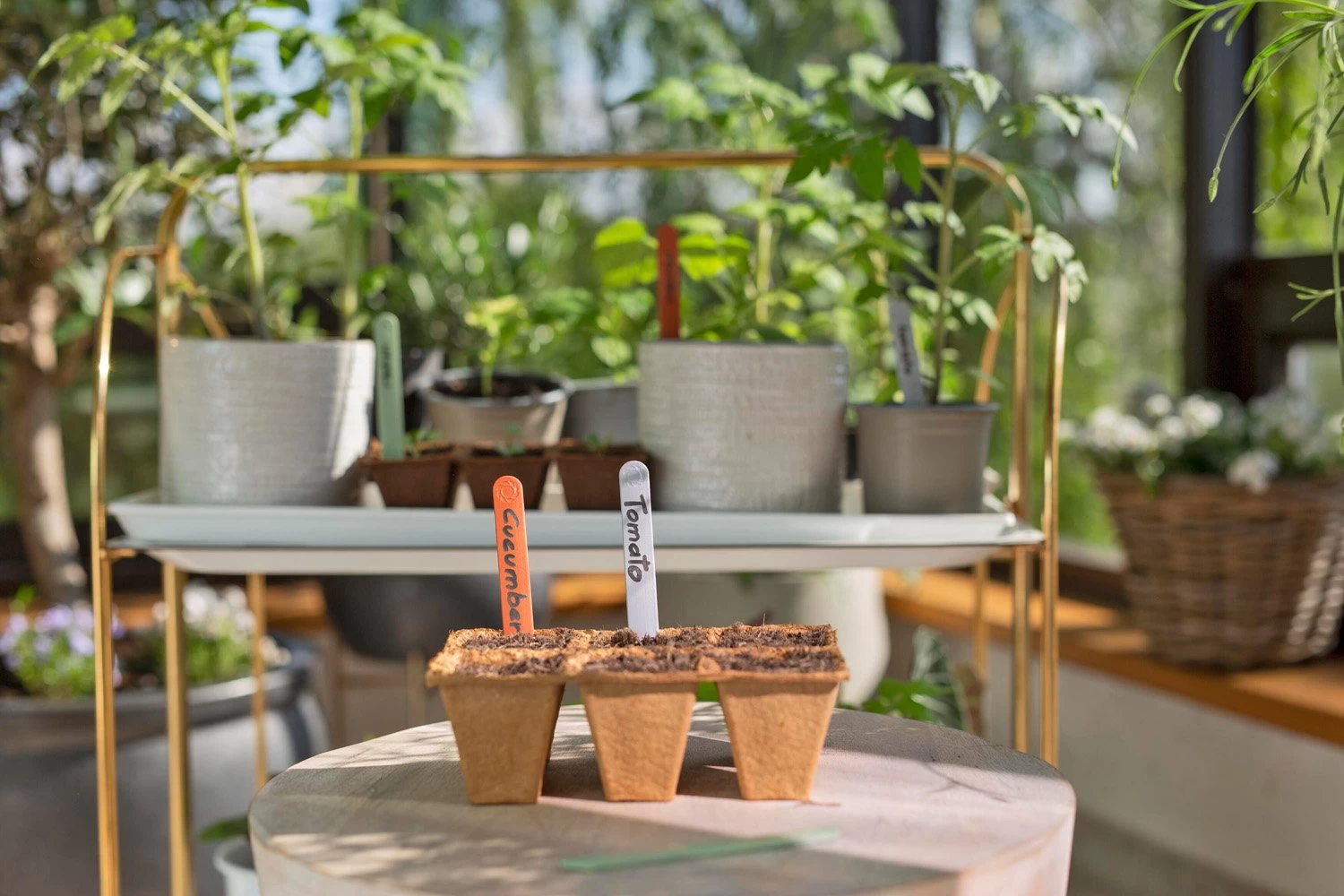 GARDENA FreshCut Set - Afbeelding 4