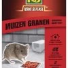 KB Muizen Lokdoos Granen 'Generation Grain'Tech' 2 Stuks