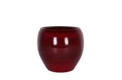 Pot Cresta Donkerrood D22 H20