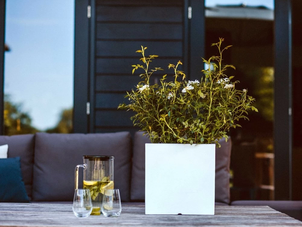 Pot Vierkant Wit - 30 X 30 X 30 Cm - Afbeelding 2